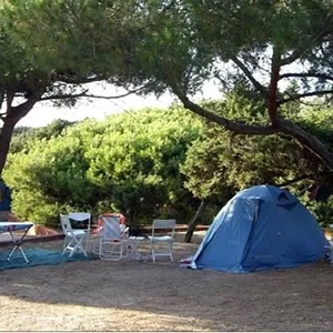 sardinia_sardegna_camping_village_campingplatze_pool_tiere_erlaubt__golf_Insel_international_valledoria